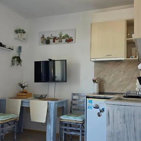 Apartment Vladan 12